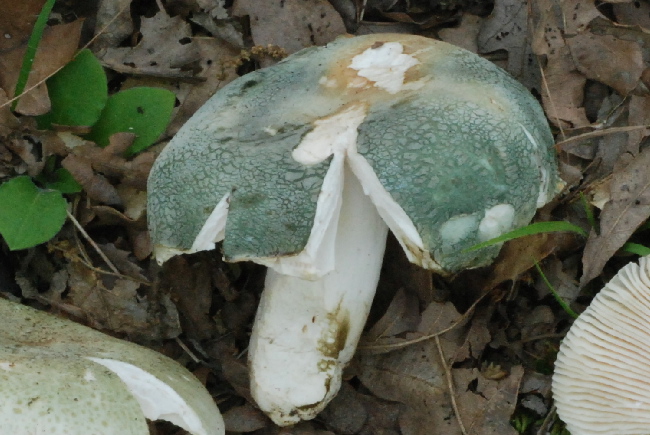 Uscita del 18 Cima di Tuoro (PG)